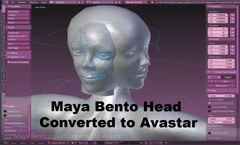 Maya Bento Head Converted to Avastar - Tutorial