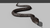 Medhue Snakes for Unity3D