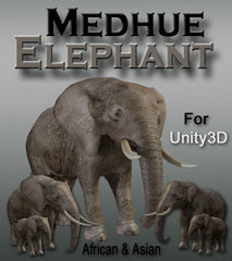 Medhue Elephant