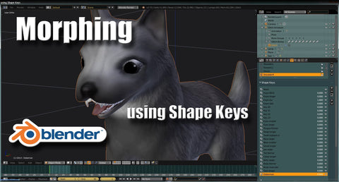 Morphing using Shape Keys in Blender - Tutorial