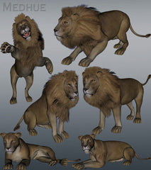 Mill Big Cat Lion Animation Set
